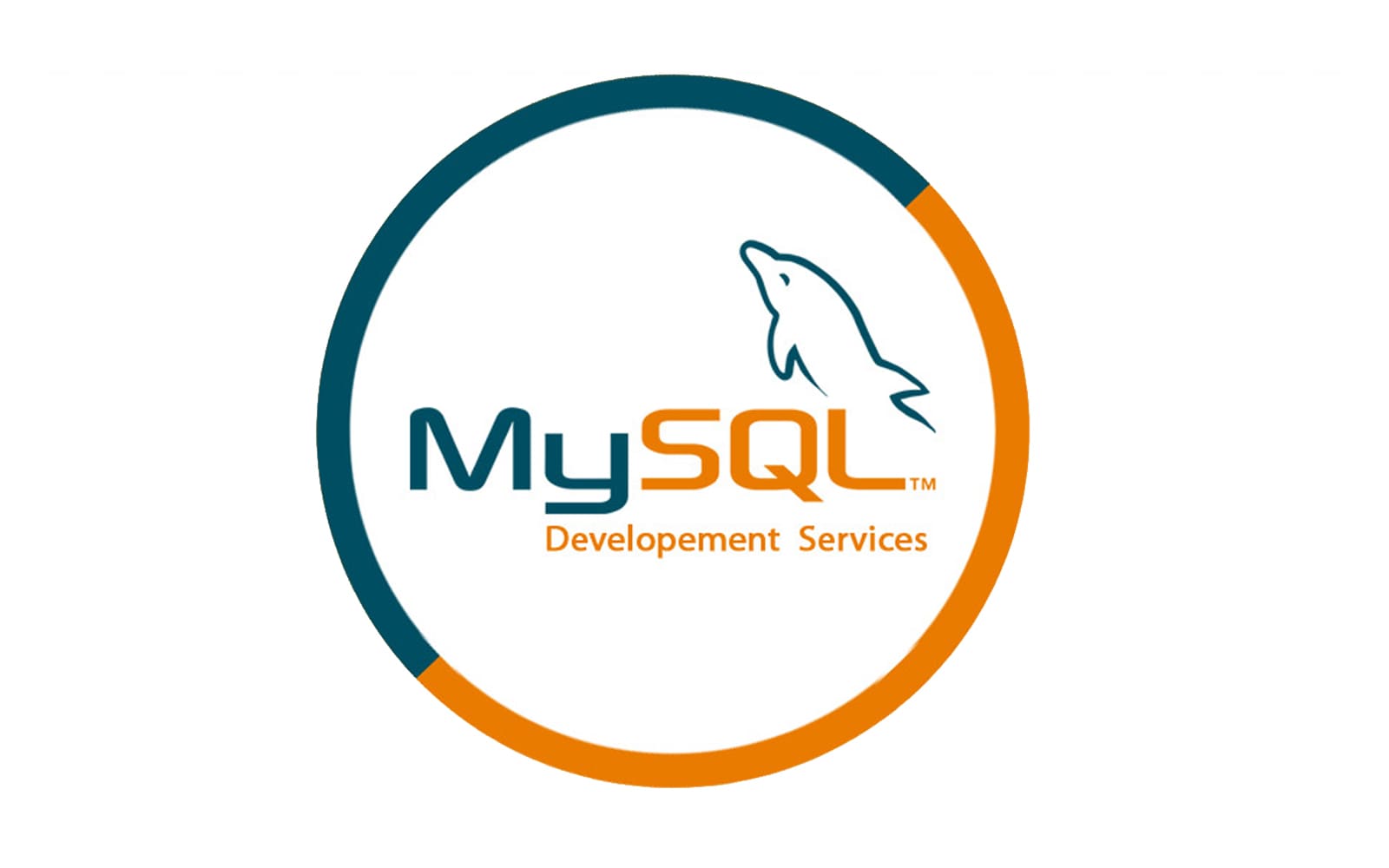 Python app with mysql integration